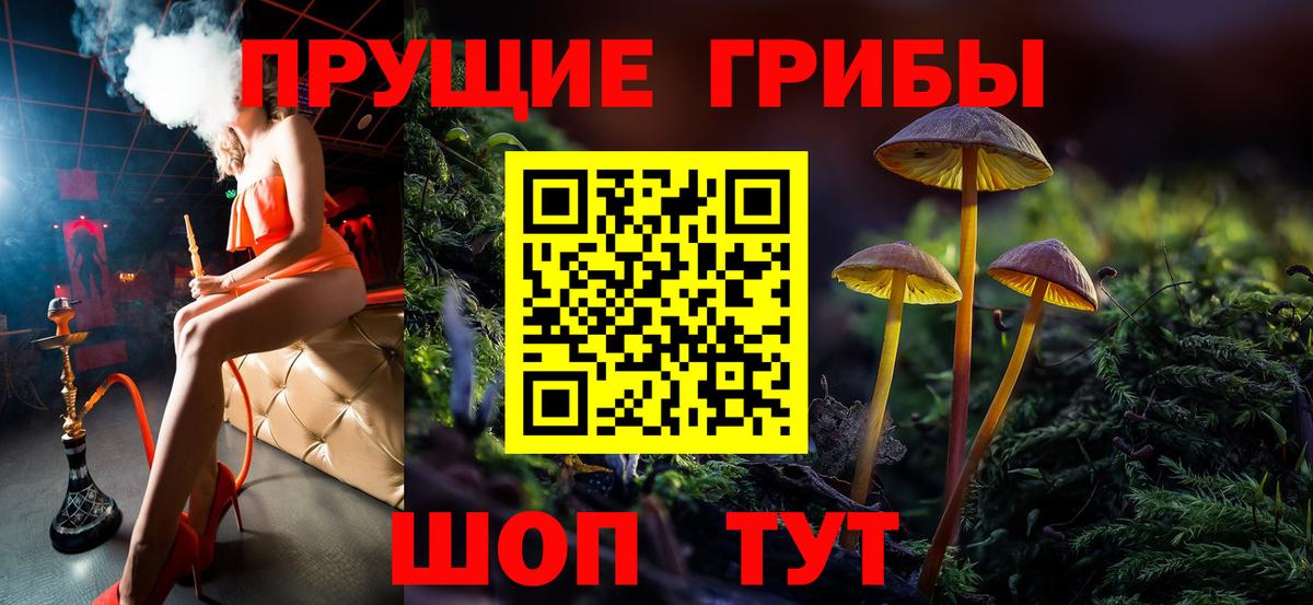 Псилоцибиновые грибы Psilocybe Выборг