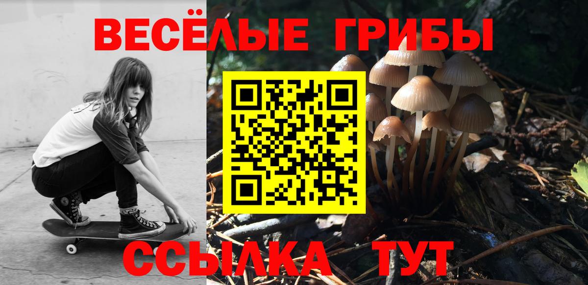 Псилоцибиновые грибы мицелий  Вход с VPN  Выборг 